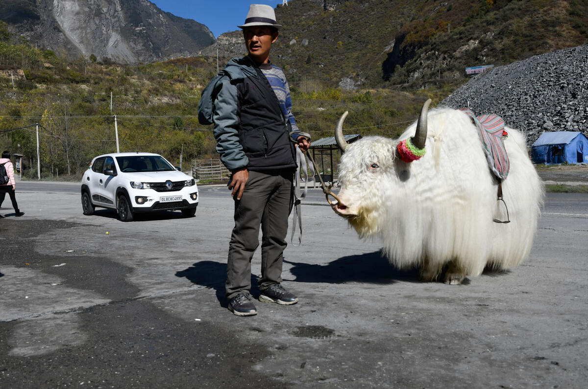 Renault Kwid: around the globe in the world's cheapest car