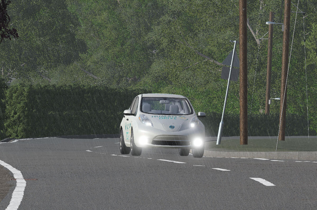 Leaf simulation