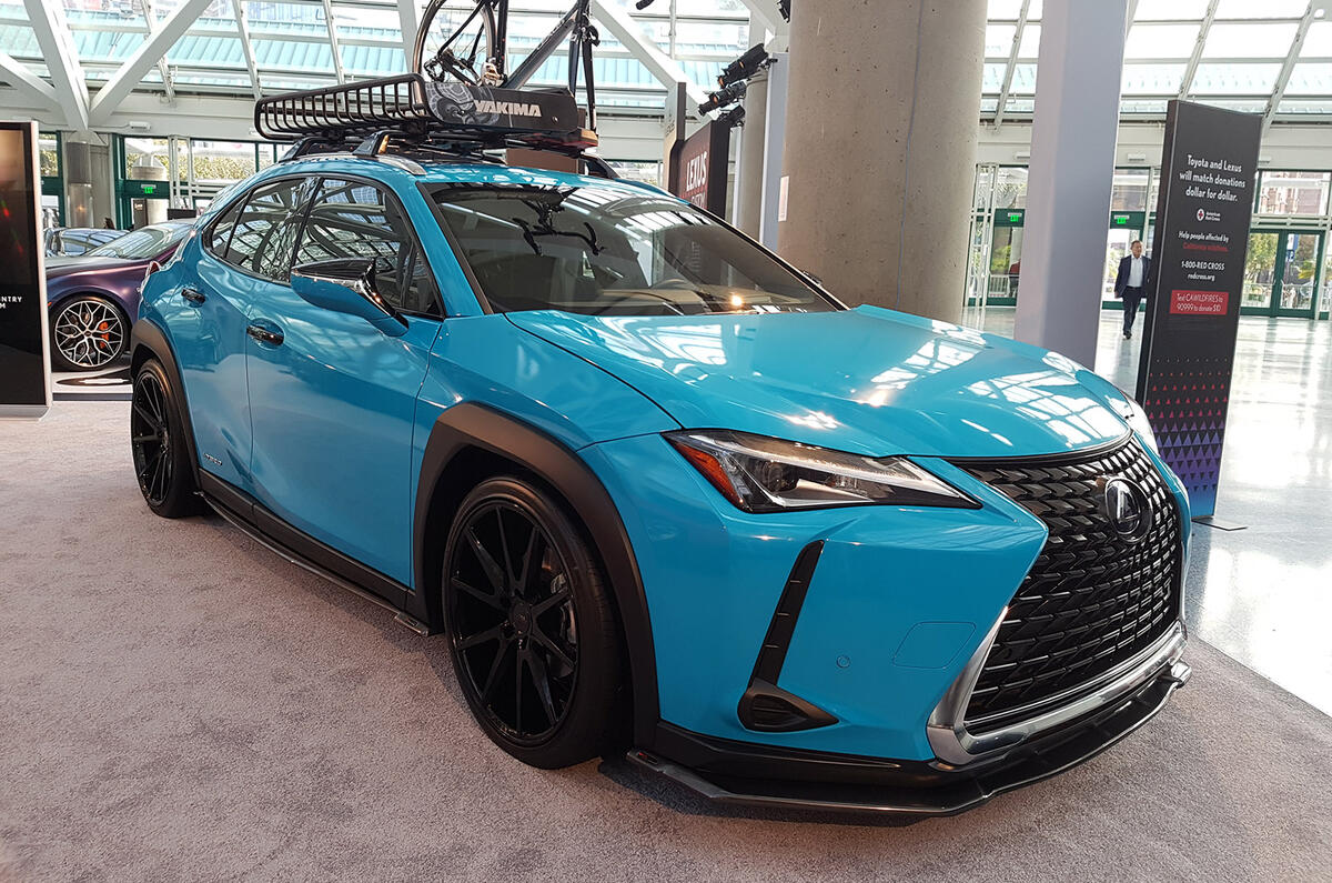 Lexus UX custom