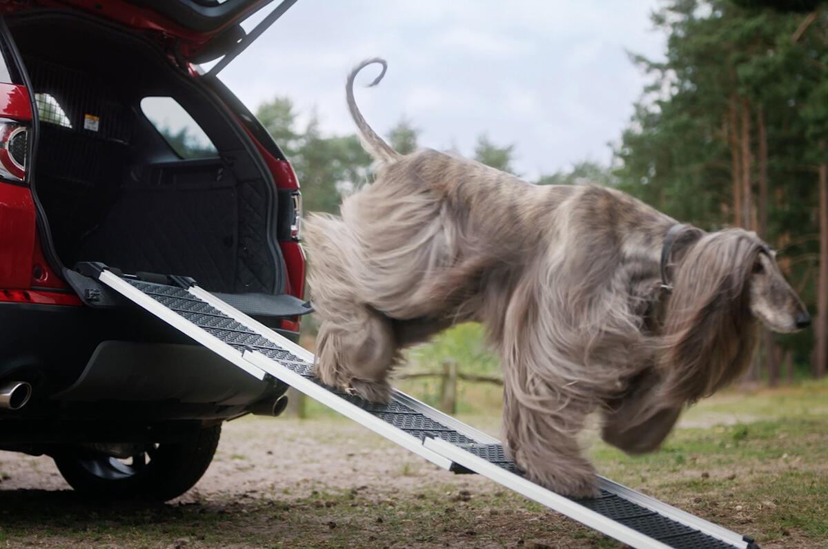 Land Rover Pet Packs revealed as official accessories
