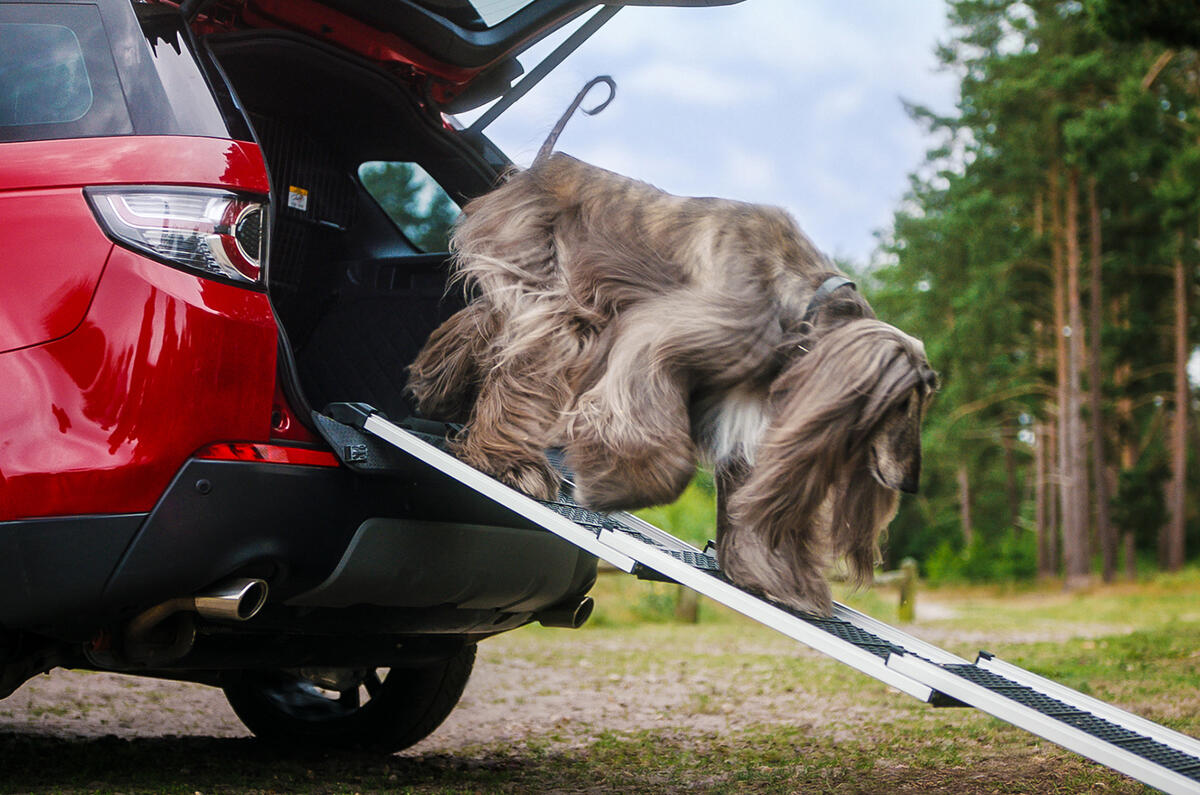 Land Rover Pet Packs revealed as official accessories