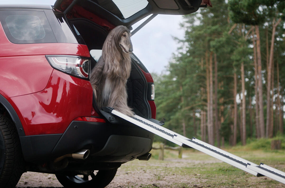 Land Rover Pet Packs revealed as official accessories