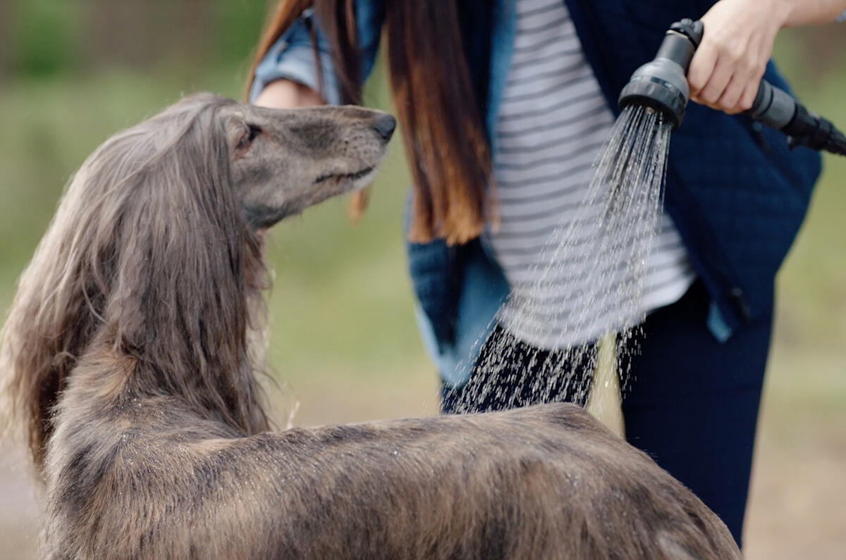 Land Rover Pet Packs revealed as official accessories