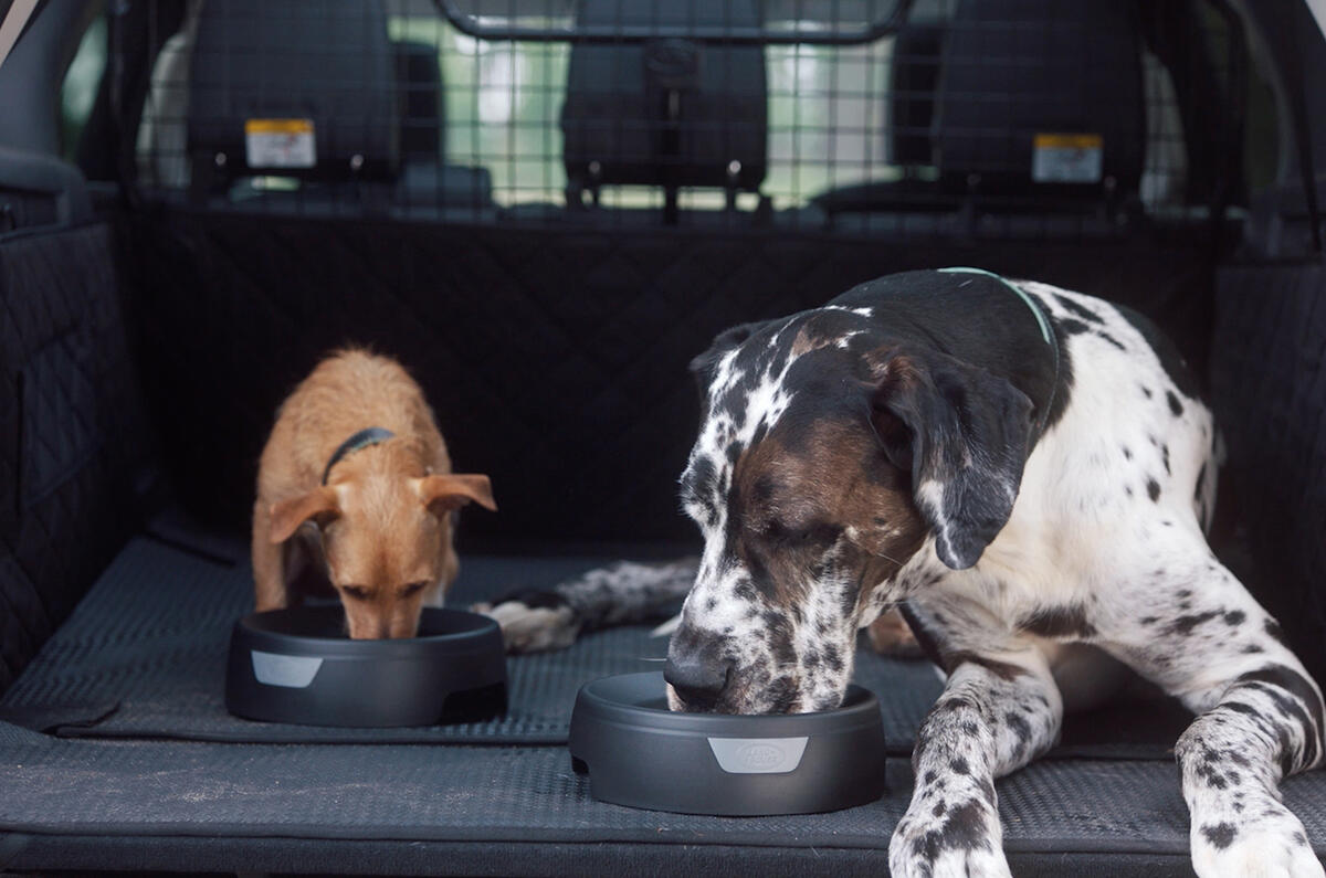 Land Rover Pet Packs revealed as official accessories