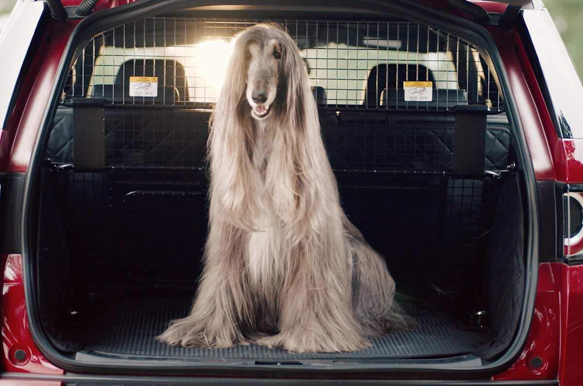 Land Rover Pet Packs revealed as official accessories