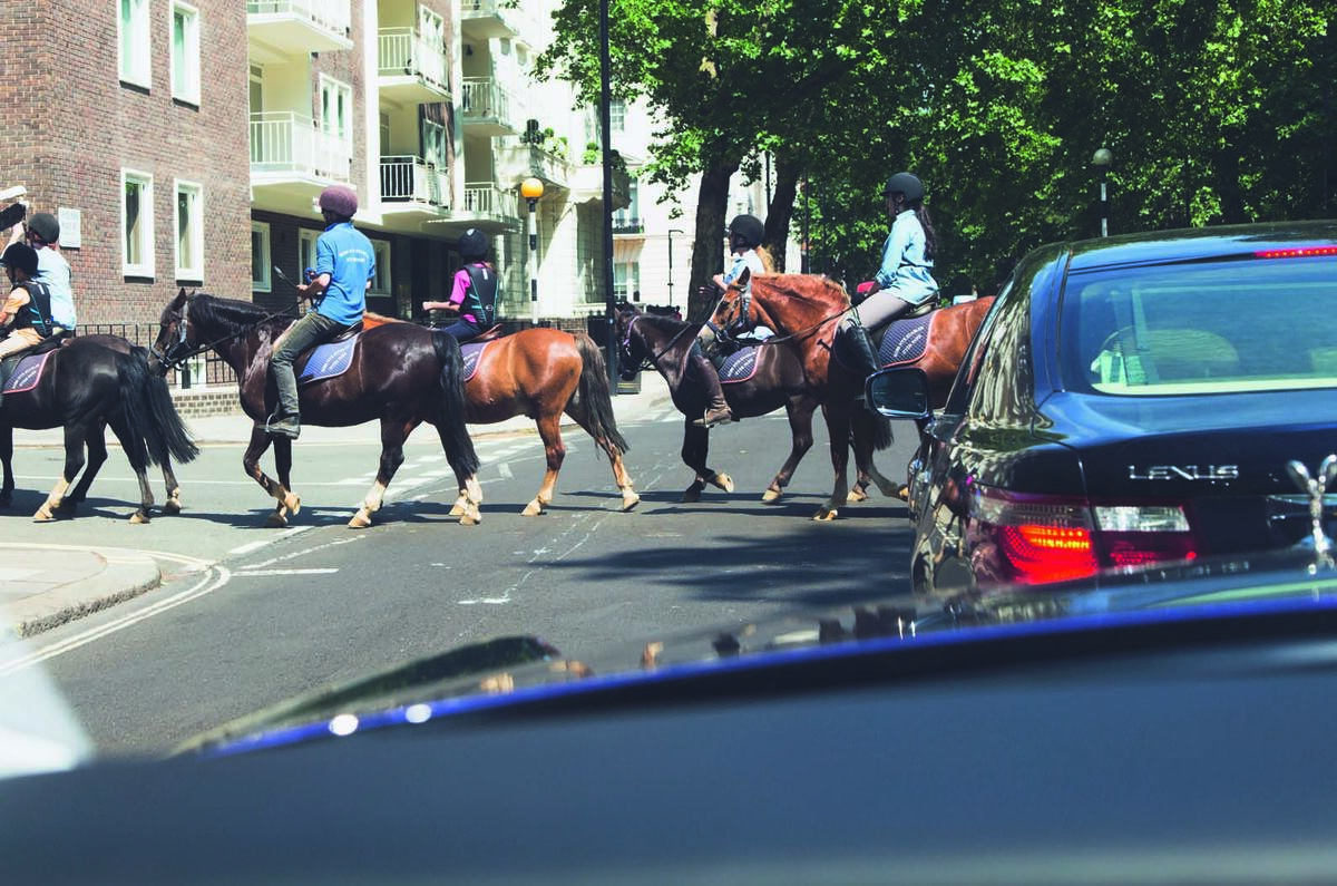 Confessions of a novice chauffeur