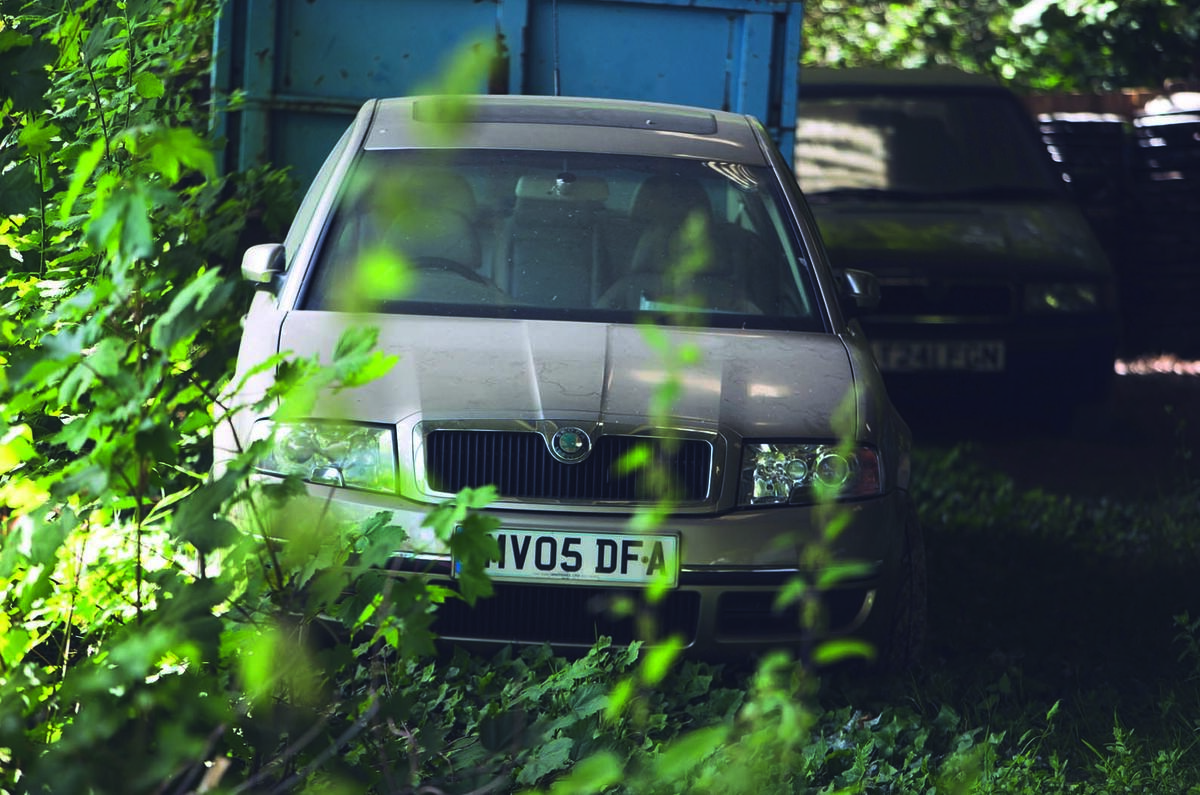 Skoda king