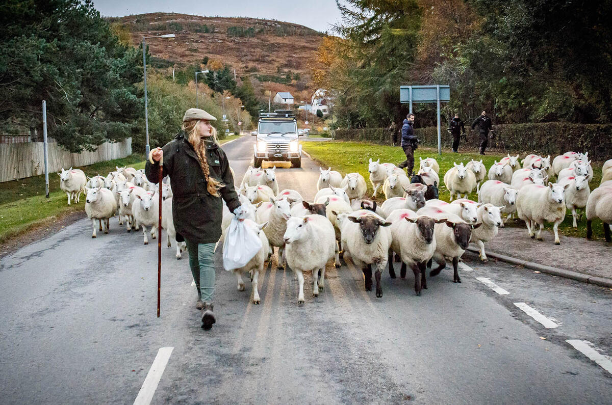 Off-roading in a Mercedes-Benz G-Class