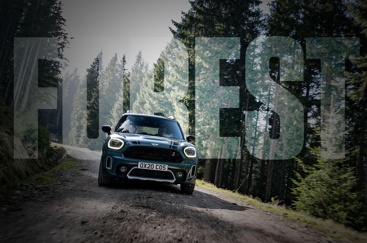 MINI Countryman: Forest adventures