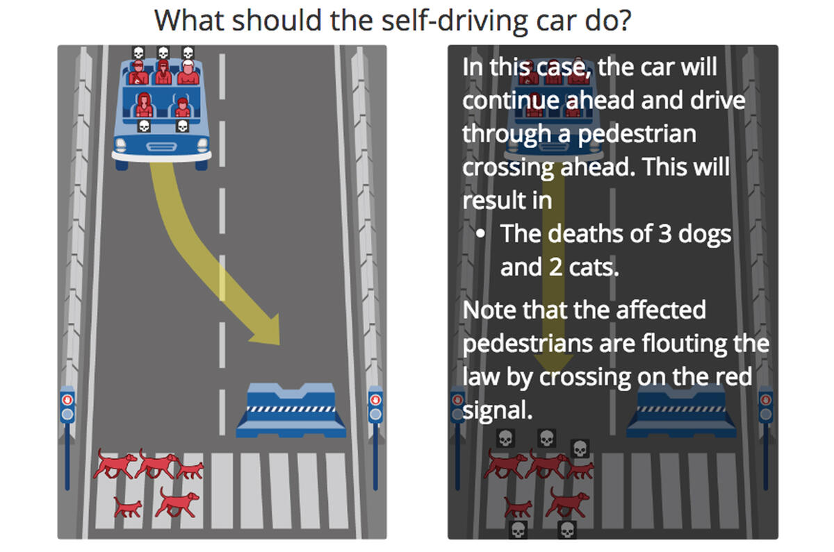 Moral Machine evaluates public decision making