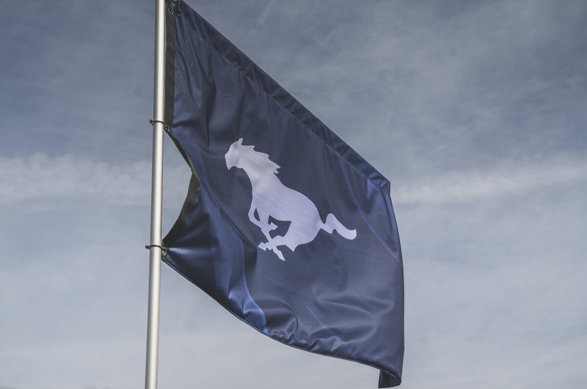 Mustang flag