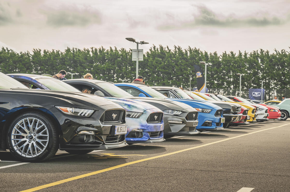 Mustang noses