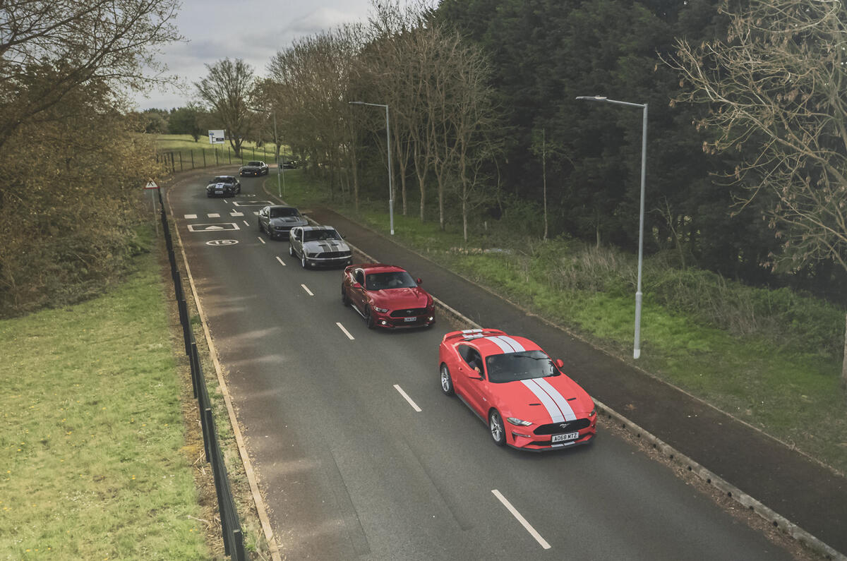 Mustangs driving on road