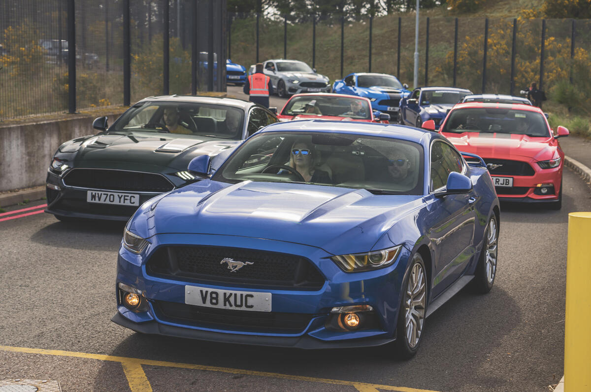 Mustangs parked ourside MUstang day