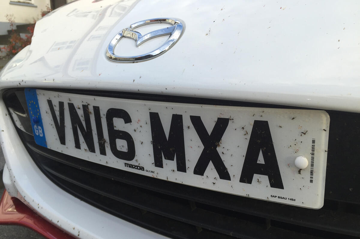 Mazda MX-5 Icon