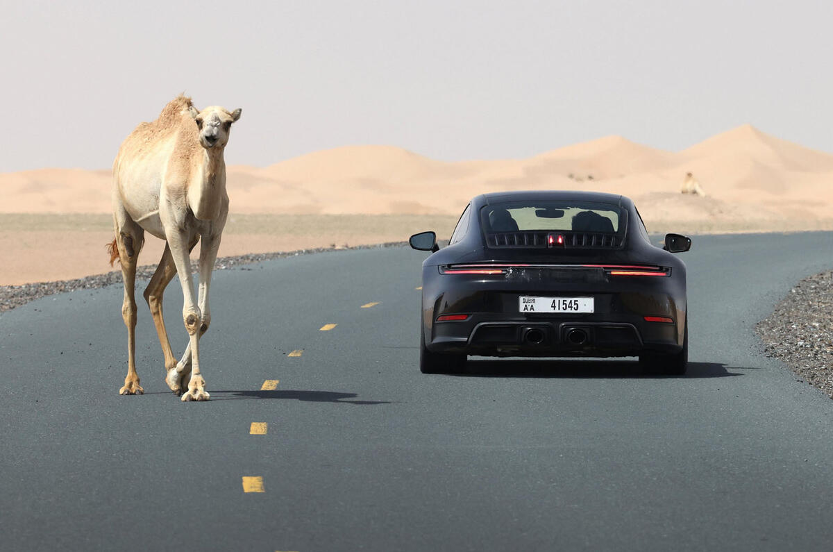 Porsche 911 hybrid prototype testing next to camel
