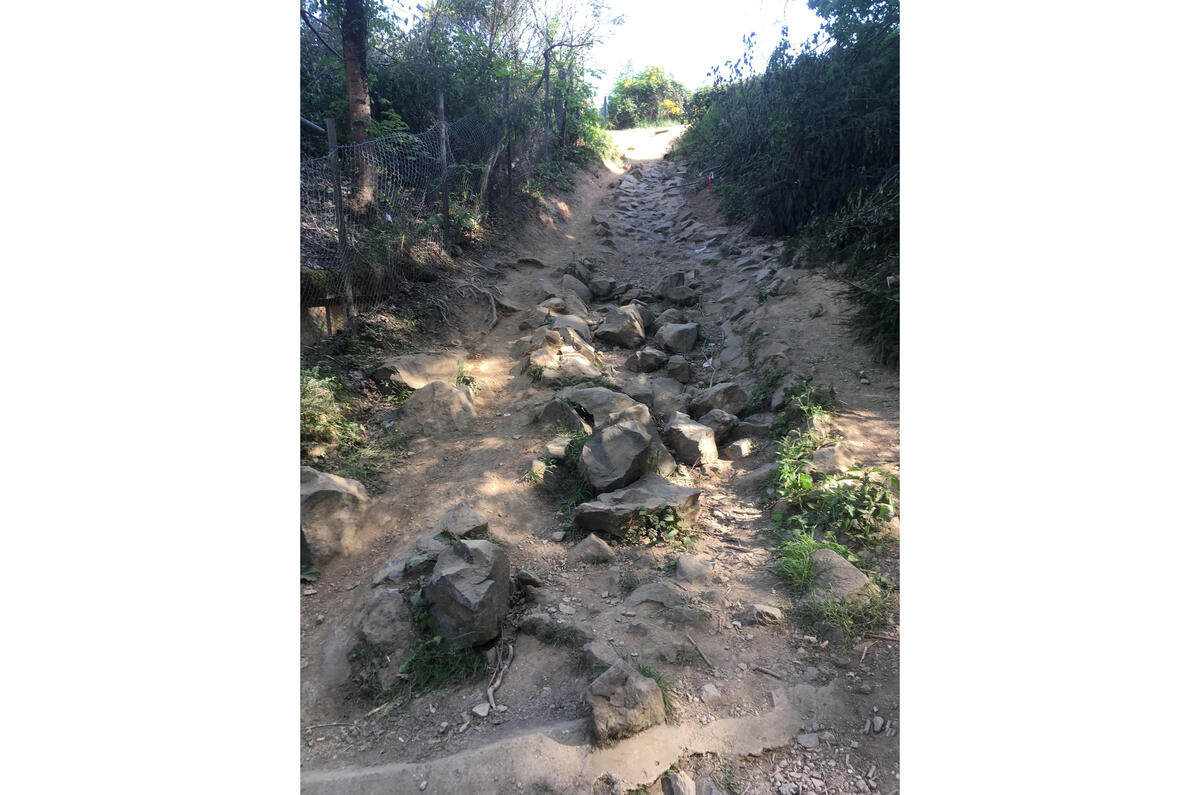 Imagine climbing this, drunk and carrying the chainsaw that so many here consider essential for a weekend's camping, and it'll become clear why a medical presence may be necessary 