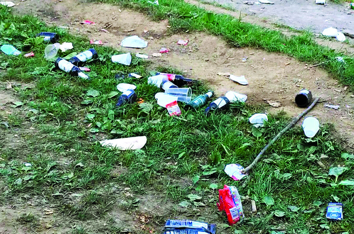 Rubbish at the side of the road Rubbish at the side of the road