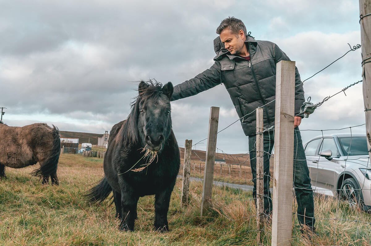 Shetland Pony Richard Webber