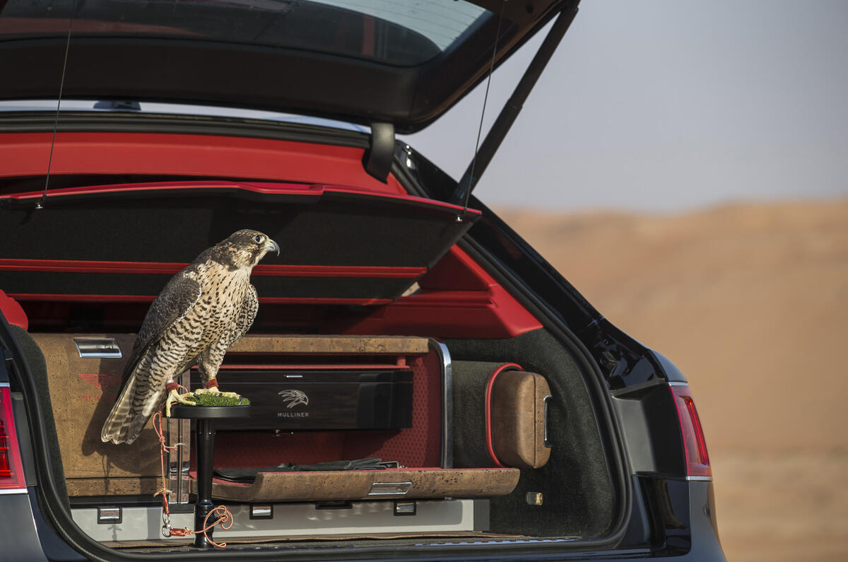 Bentley Bentayga Falconry