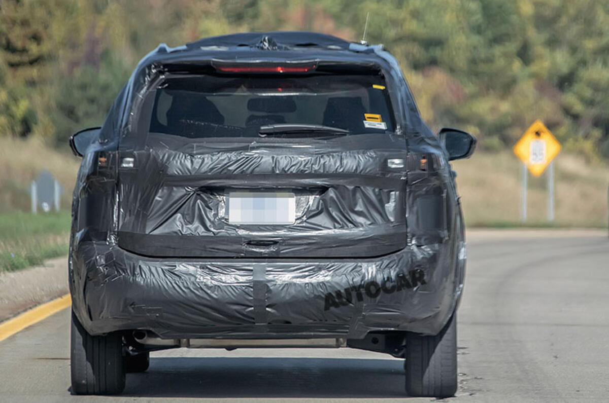 Rogue back 2 Rogue back 2