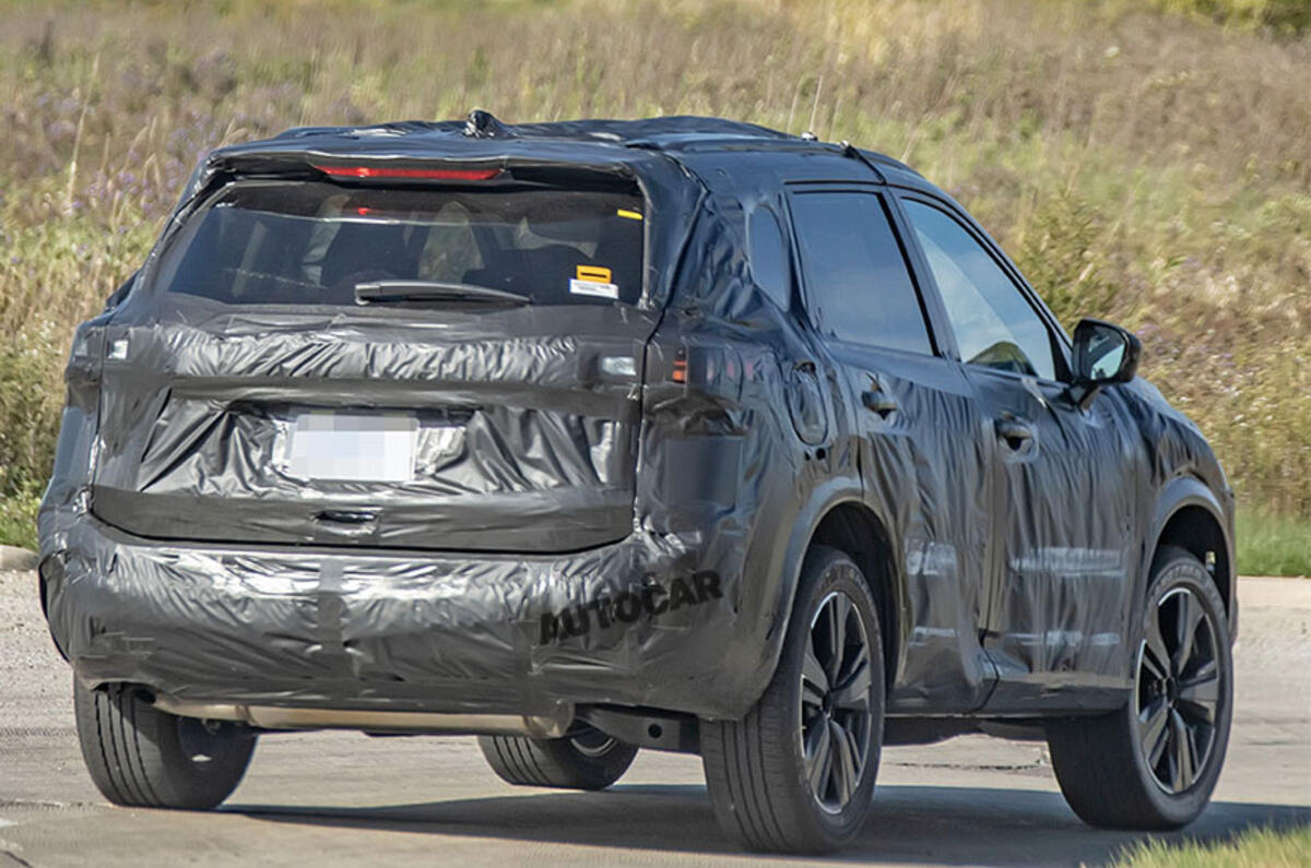 Rogue back Rogue back