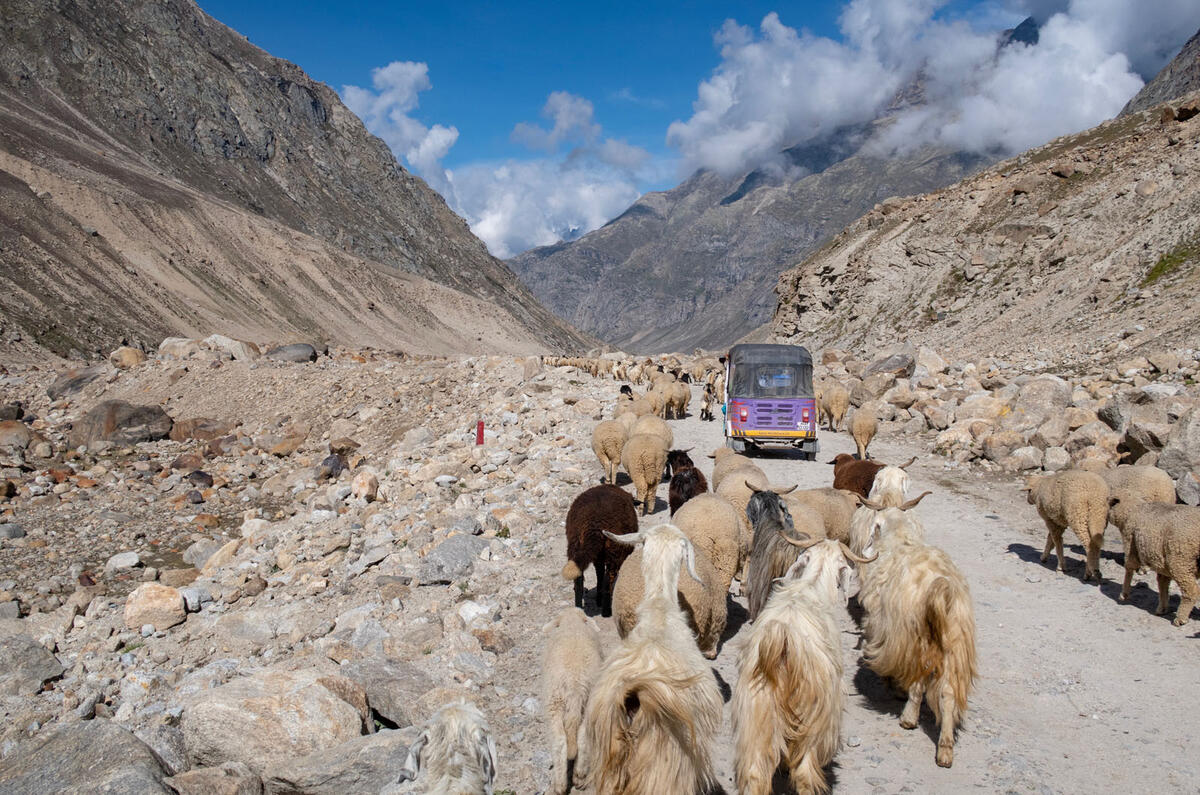The Adventurists take on Rickshaw Run Himalaya
