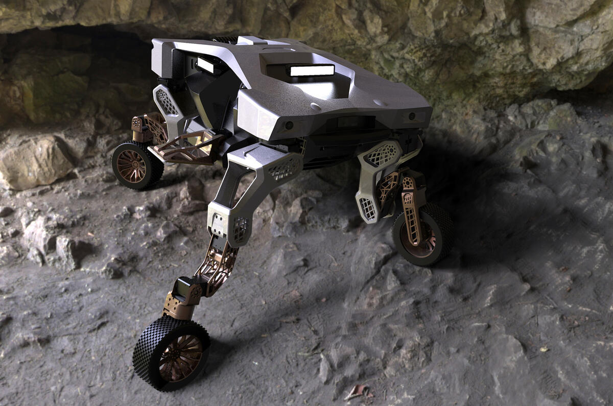 TIGERConceptinCave TIGERConceptinCave