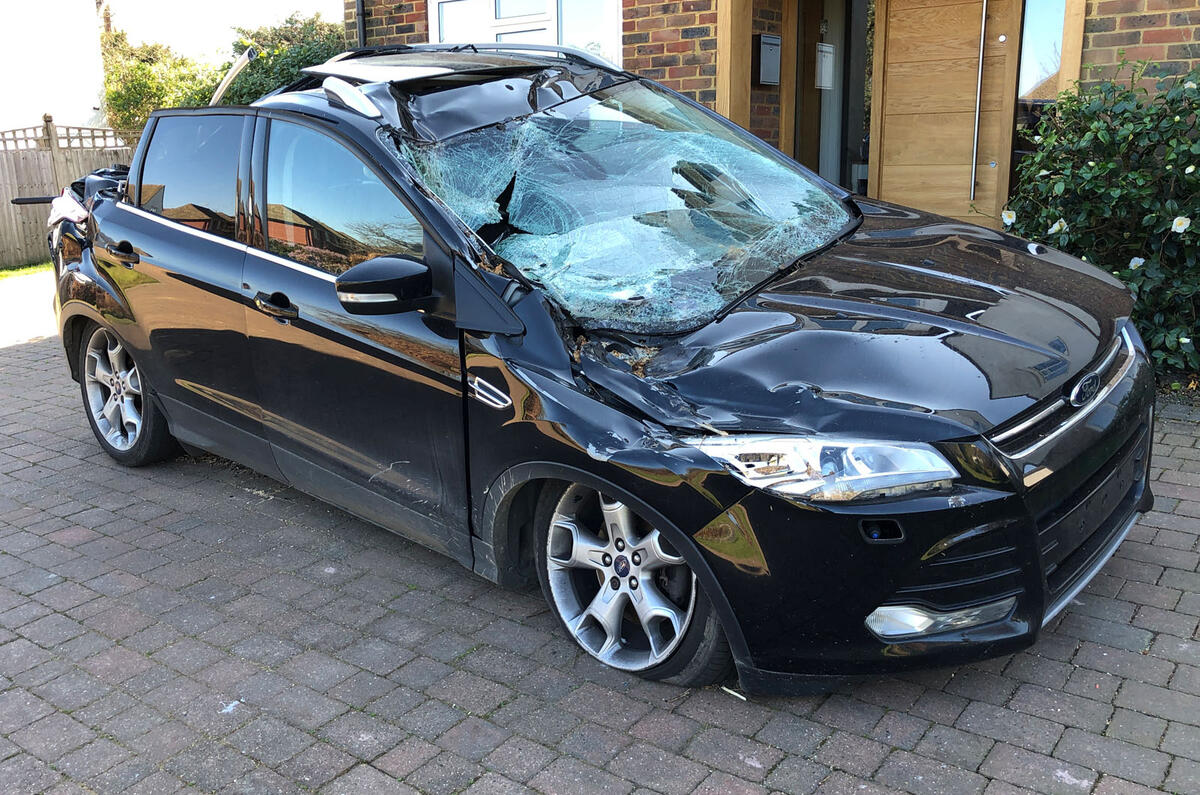 Tree crashed car Tree crashed car