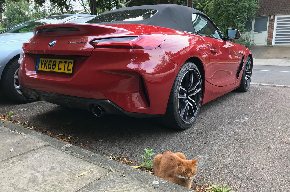 BMW Z4 2019 long-term review - cat