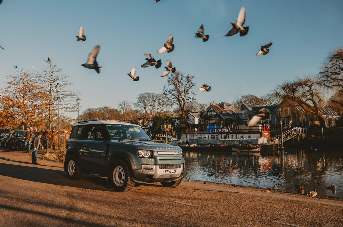 14 Land Rover Defender 2022 long term review birds 14 Land Rover Defender 2022 long term review birds