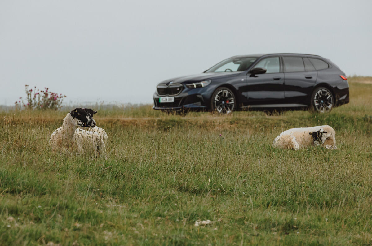 BMW i5 Touring side with sheep