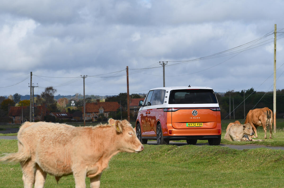 ID Buzz Cow 2 ID Buzz Cow 2