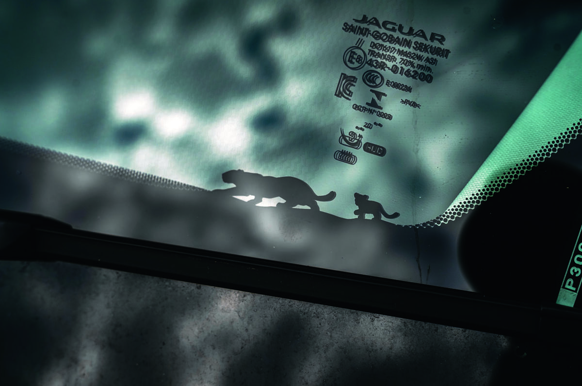 Jaguar e Pace rear window graphic Jaguar e Pace rear window graphic