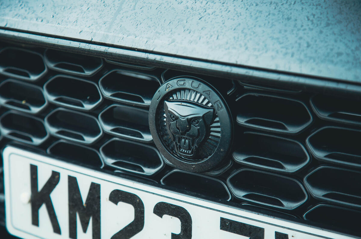 Jaguar F Tupe grille Jaguar F Tupe grille