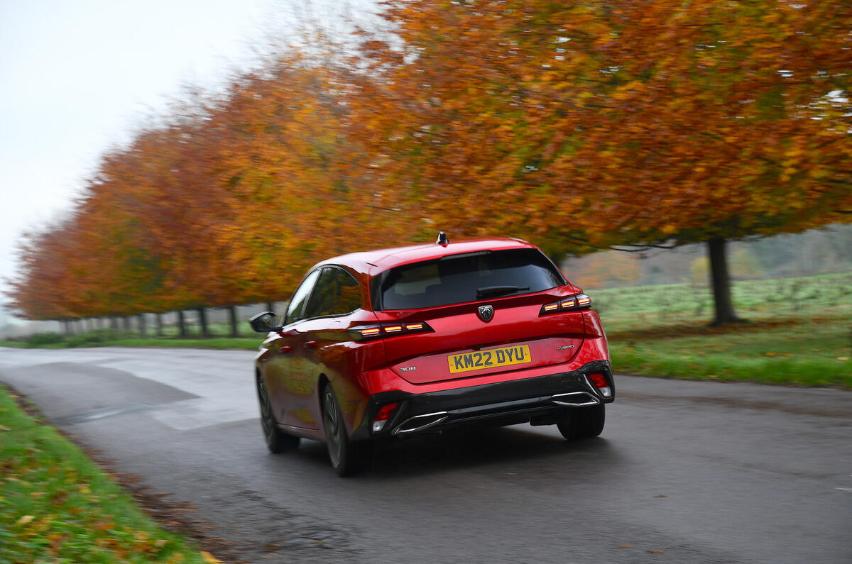 Peugeot 308 rear with orange trees Peugeot 308 rear with orange trees