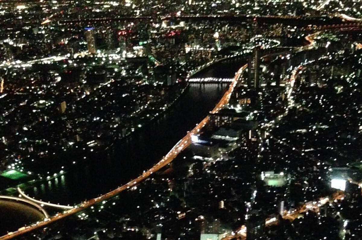 The future of Japan&#039;s automotive industry