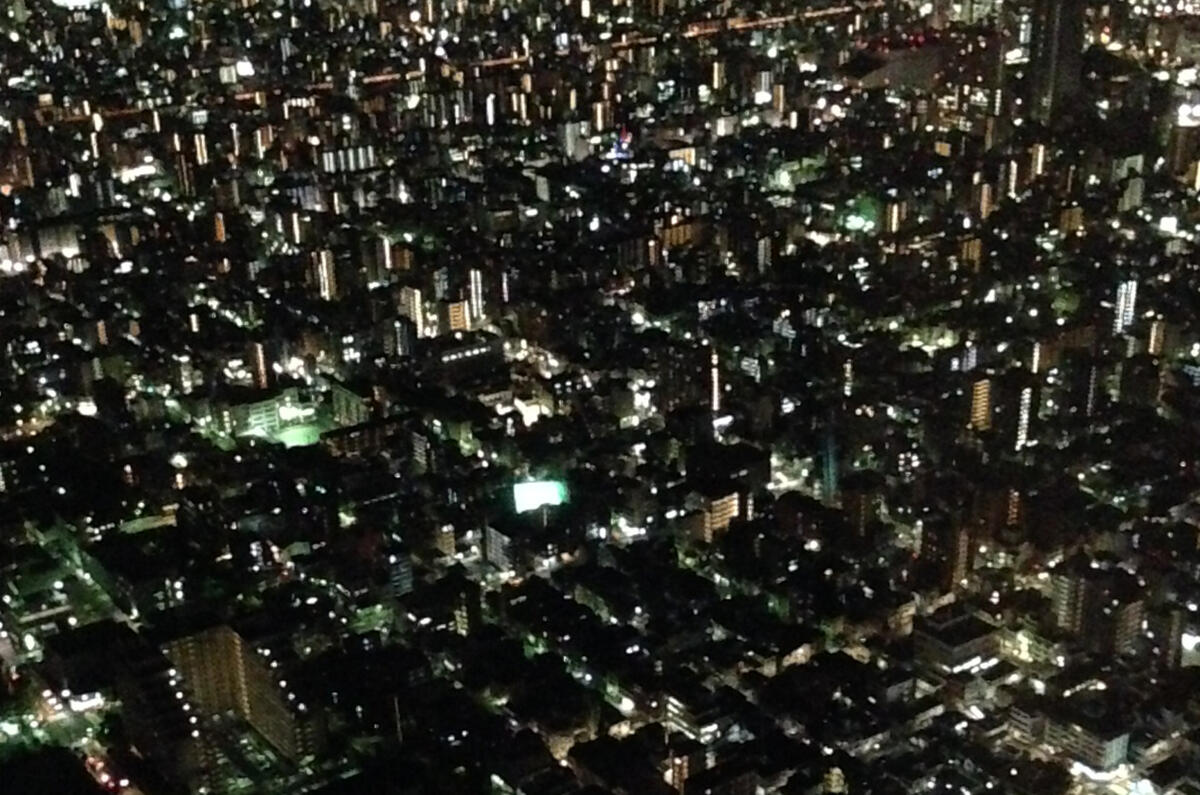 The future of Japan&#039;s automotive industry