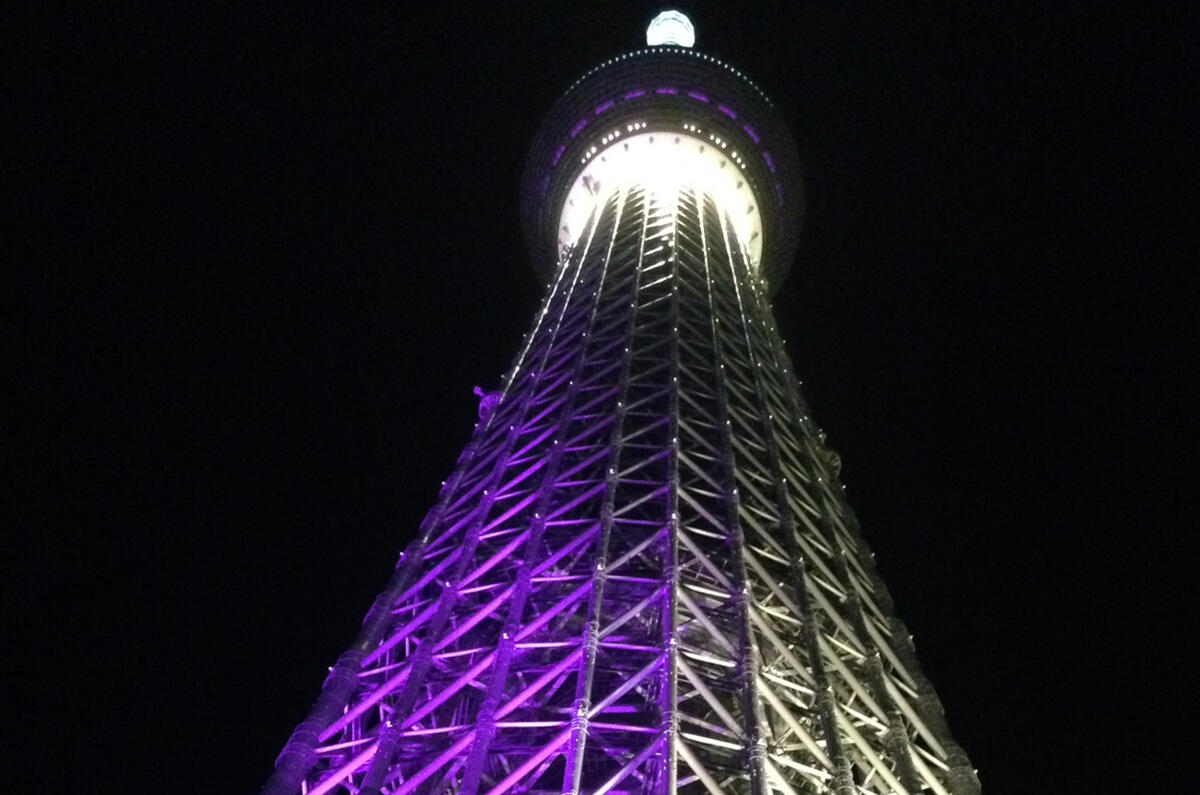 The future of Japan&#039;s automotive industry