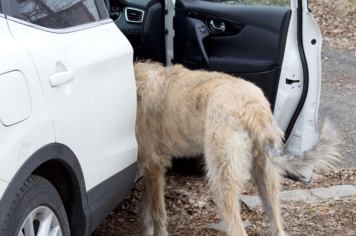 Nissan Qashqai to Istanbul: picture gallery
