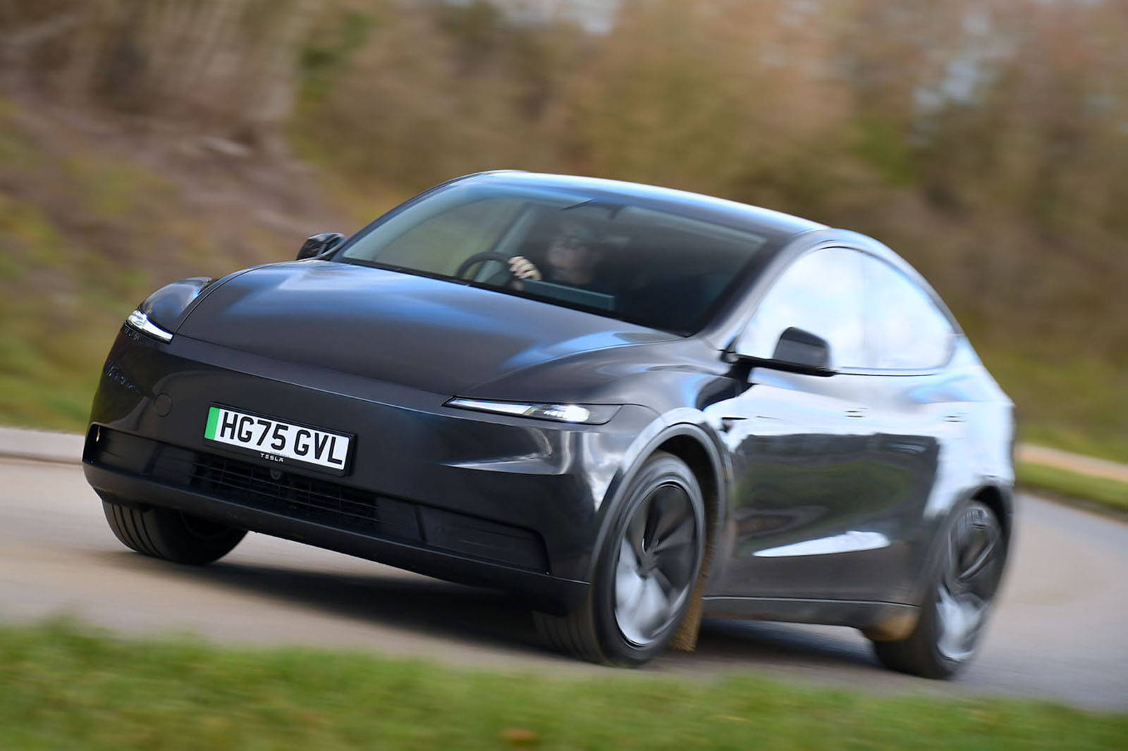 Tesla Moel Y Standard review 2026016