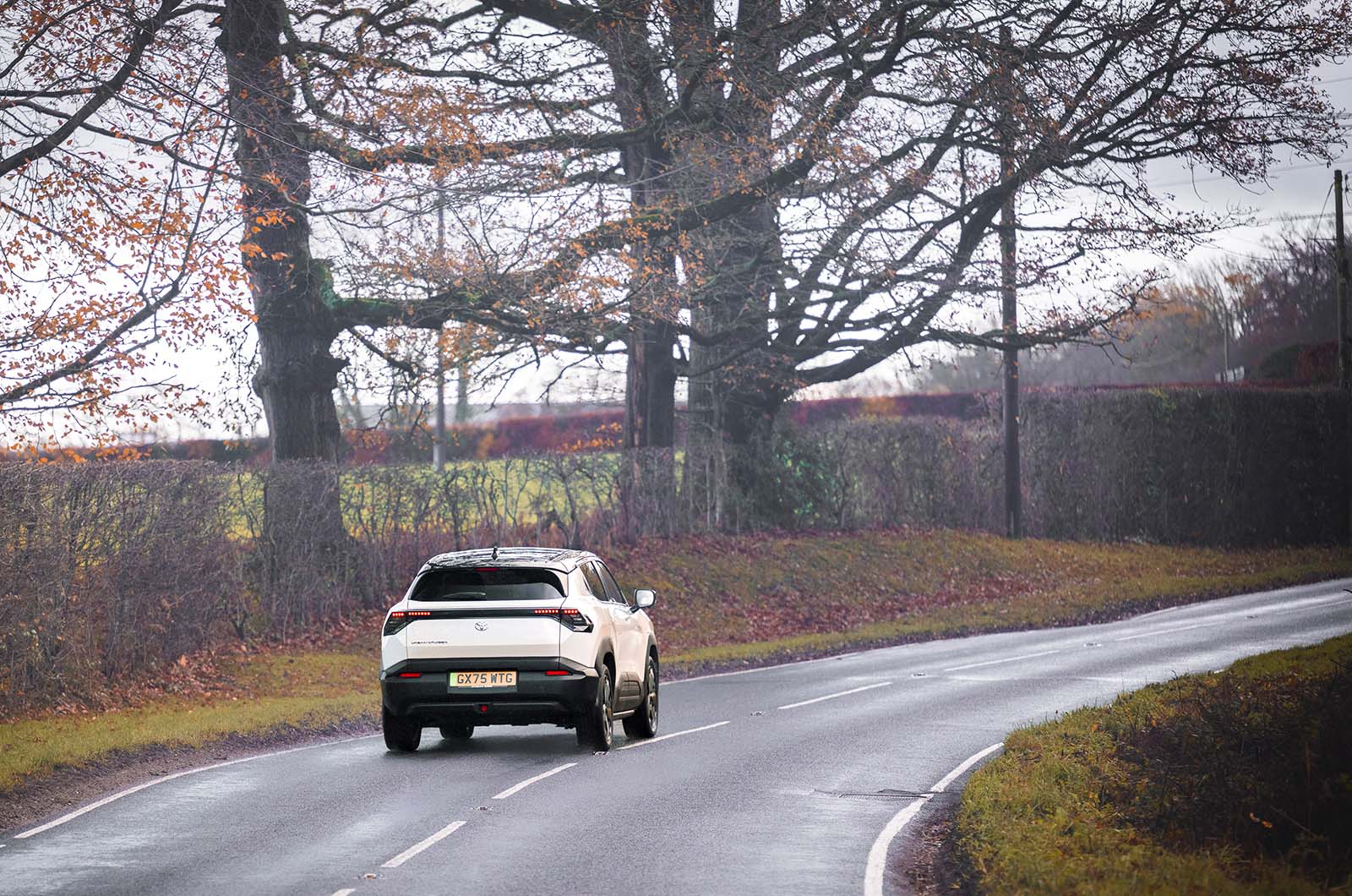 Toyota Urban Cruiser Dynamic 1